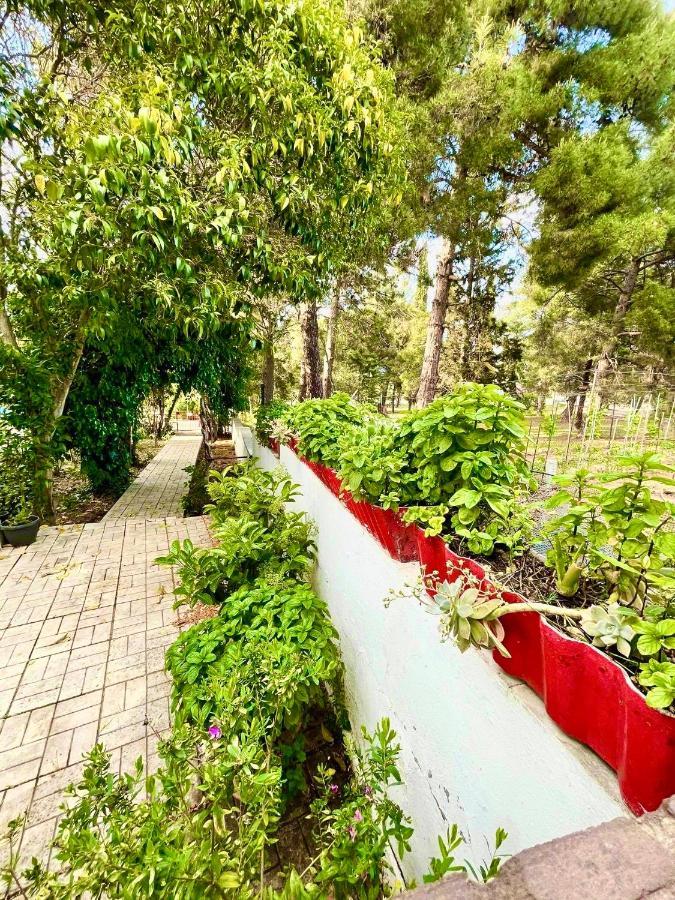 Villavictoria Marias View Pool Apartment Peraía 외부 사진